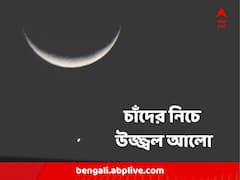 চাঁদের নিচে উজ্জ্বল এক আলো, কী তা ? তুঙ্গে জল্পনা