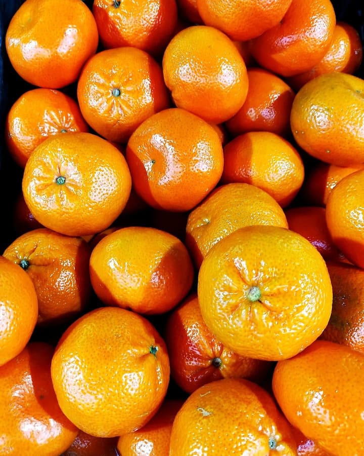 महाराष्ट्र में स्थित नागपुर संतरों का सबसे बड़ा उत्पादक है. सिर्फ भारत में ही नहीं बल्कि पूरे दुनिया में नागपुर के संतरे मशहूर हैं. बता दें कि, वहां संतरे 12 रुपये दर्ज़न मिलते हैं. नागपुर में बहुत से टाइगर रिज़र्व भी है. इसीलिए इसे “टाइगर कैपिटल ऑफ़ इंडिया) भी कहा जाता है.