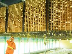 रेशम के कीड़े को क्यों उबाल दिया जाता है, जानिए आपके कपड़े बनाने के लिए कैसे तैयार किया जाता है रेशम