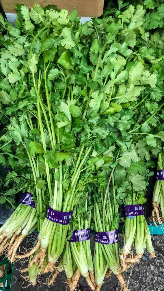 ਲਗਾਤਾਰ ਆ ਰਹੀ ਛਿੱਕਾਂ ਤਾਂ ਸੁੰਘ ਲਓ ਆਹ ਹਰੀ ਚੀਜ਼