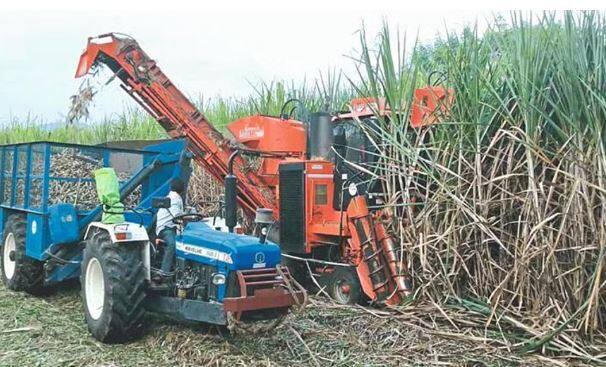 राज्यात दरवर्षी ऊसाच्या लागवडीच्या (Sugarcane cultivation) क्षेत्रात वाढ होत आहे. त्यामुळ ऊसतोड कामगारांची देखील कमतरता भासत आहे.