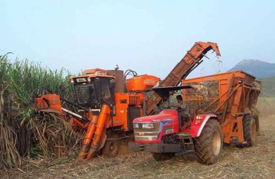 sugarcane : ऊस तोडणी यंत्राच्या खरेदीसाठी सरकारकडून 40 टक्के अनुदान