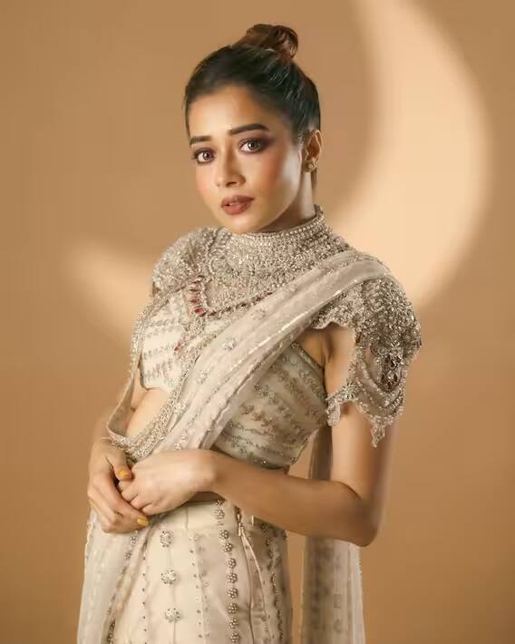 સાડીમાં તમે પણ ગ્લેમરસ દેખાવવા માંગો છો, તો એક્ટ્રેસના આ લૂકને ફોલો કરી શકો છો. આ લૂકને કમ્પલેટ કરવા માટે તેને વાળની સારી રીતે સેટ કર્યા છે.