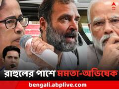 'বিরোধী নেতারাই BJP-র টার্গেট', রাহুলের পাশে দাঁড়িয়ে আক্রমণ মমতা-অভিষেকের