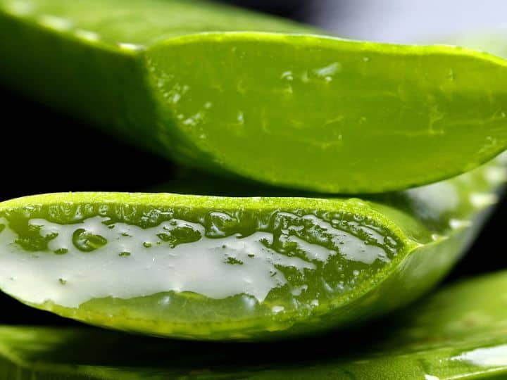 Eating aloe vera will remove many problems of the body, know what is the right way to eat it?