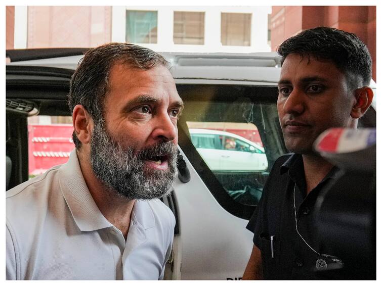 Rahul Gandhis Disqualified As MP Criminal Defamation Case What He Can Do Next Rahul Gandhi Disqualified From Lok Sabha: What's The Road Ahead For The Congress Leader