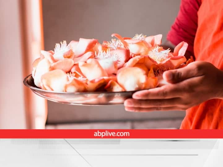 शनिवार के दिन शाकाहार का पालन करना और शराब से बचना भी शनि के लिए एक प्रबल उपाय है. झूठ बोलने और धोखा देने से भी दूर रहना चाहिए.