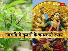 Navratri Tulsi Puja: घर में है तुलसी तो नवरात्रि में जरूर कर लें ये काम, मां लक्ष्मी का मिलेगा वरदान