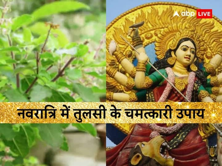 Navratri Tulsi Puja Niyam: नवरात्रि में तुलसी पूजन से घर में धन, सुख और समृद्धि आती है. घर में तुलसी है तो नवरात्रि के दौरान कुछ काम जरूर करने चाहिए. इससे मां दुर्गा और लक्ष्मी की कृपा होती है.