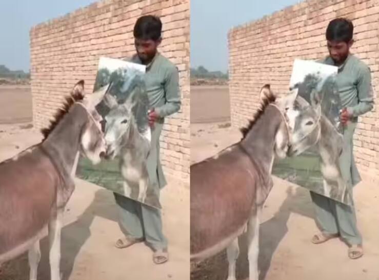 ਖੁਦ ਨੂੰ ਸ਼ੀਸ਼ੇ 'ਚ ਦੇਖ ਕੇ ਗਧੇ ਦਾ ਰਿਐਕਸ਼ਨ, ਵੀਡੀਓ ਦੇਖ ਲੋਕ ਹਾਸਾ ਨਹੀਂ ਰੋਕ ਸਕੇ donkey seeing mirror started shouting animal funny reaction viral video ਖੁਦ ਨੂੰ ਸ਼ੀਸ਼ੇ 'ਚ ਦੇਖ ਕੇ ਗਧੇ ਦਾ ਰਿਐਕਸ਼ਨ, ਵੀਡੀਓ ਦੇਖ ਲੋਕ ਹਾਸਾ ਨਹੀਂ ਰੋਕ ਸਕੇ