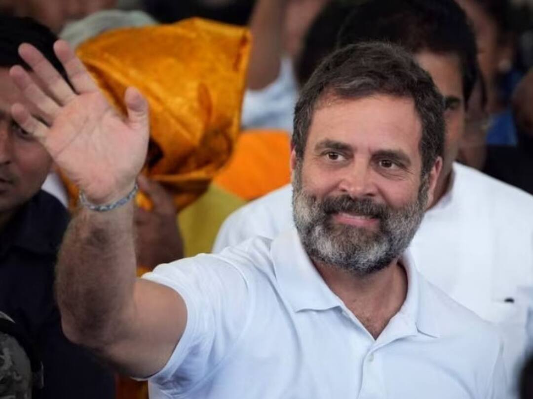 Rahul Disqualification: రాహుల్ ముందున్న ఆప్షన్స్ ఏంటి? న్యాయ పోరాటం ఫలిస్తుందా? Rahul Disqualification What Rahul Gandhi Can Do Next Rahul Disqualification: రాహుల్ ముందున్న ఆప్షన్స్ ఏంటి? న్యాయ పోరాటం ఫలిస్తుందా?
