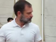 They Say I'm Wiping My Nose On You: Rahul Gandhi's Swipe At Media Persons As He Helps Kharge — Watch