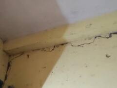 Earthquake In Chhattisgarh: सरगुजा संभाग में भूकंप के झटके, रिक्टर पैमाने पर 5.0 रही तीव्रता, कच्चे मकानों में आई दरारें; स्कूलों की छुट्टी