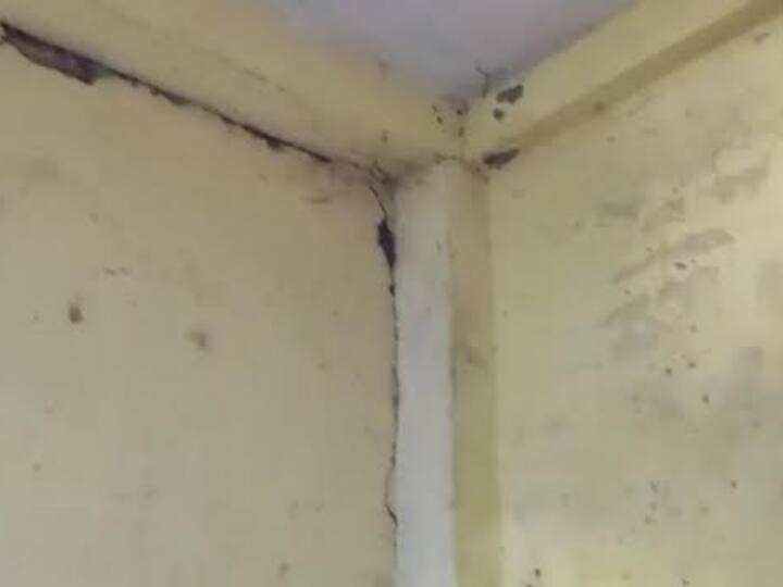 संभाग मुख्यालय अम्बिकापुर समेत भटगांव, जहरी और आस पास के कई गांव में भूकंप के इतने झटके महशूश किए गए कि कई लोगों के कच्चे मकान में बड़ी बड़ी दरार आ गई है. इसके अलावा कई पुराने मकान में कमोबेश ऐसा ही हुआ.