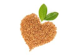 बालों के लिए मैजिकल वॉटर है मेथी का पानी...ये दो समसयाएं हो सकती हैं दूर, जानें इस्तेमाल करने का तरीका