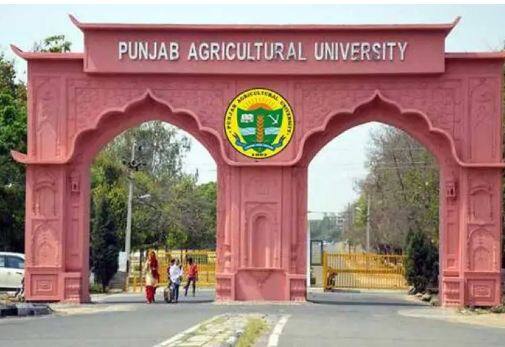 Kisan Mela in Agriculture University, five progressive farmers will be honored Kisan Mela: ਖੇਤੀਬਾੜੀ ਯੂਨੀਵਰਸਿਟੀ 'ਚ ਕਿਸਾਨ ਮੇਲਾ, ਪੰਜ ਅਗਾਂਹਵਧੂ ਕਿਸਾਨਾਂ ਦਾ ਹੋਏਗਾ ਸਨਮਾਨ