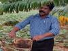 Honey Bees Pollination: தித்திக்கும் தேன் தரும் திறமை வாய்ந்த தேனீக்கள்... அயல் மகரந்த சேர்க்கைக்கு அயராது உழைப்பவை
