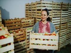 किसानों के लिए खुशखबरी... अब गांव में खोल सकते हैं अपना पैक हाउस, इस लिंक पर मांगे हैं आवेदन