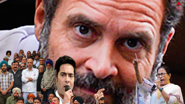 Mamata Abhishek on Rahul :   রাহুলের সাংসদ পদ খারিজ। বিজ্ঞপ্তি জারি লোকসভার সচিবালয়ের। মোদিকে নিয়ে বিতর্কিত মন্তব্যের জেরে গতকালই সাজা শুনিয়েছিল সুরাতের আদালত। কড়া প্রতিক্রিয়া মমতা-অভিষেকের।