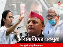 রাহুল-প্রশ্নে নিশানায় বিজেপি! একসুর মমতা-অখিলেশ-বিমানের