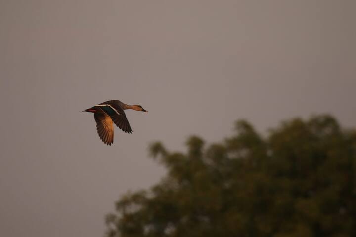 सेलूपासून 8 किलोमीटर अंतरावर असलेल्या हदगाव परिसरात 8 मोठ्या खदानी आणि एक तलाव आहे. (फोटो सौजन्य : विजय ढाकणे)