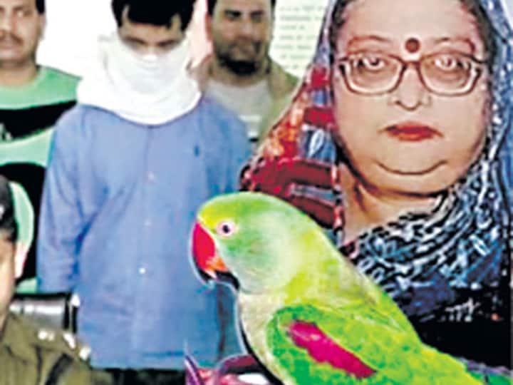 Man convicted of 2014 murder with parrot's testimony gets life in jail చిలుక‌ జోస్యం కాదు- సాక్ష్యం చెప్పింది- నిందితులకు శిక్ష పడింది