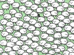 मेंढ्यामध्ये लपले आहेत तीन ढग, स्मार्ट असाल तर 10 सेकंदात शोधा; 95 टक्के लोक फेल