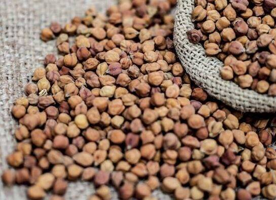 Agriculture News: Farmers return to NAFED’s chickpea procurement center in Nandurbar
