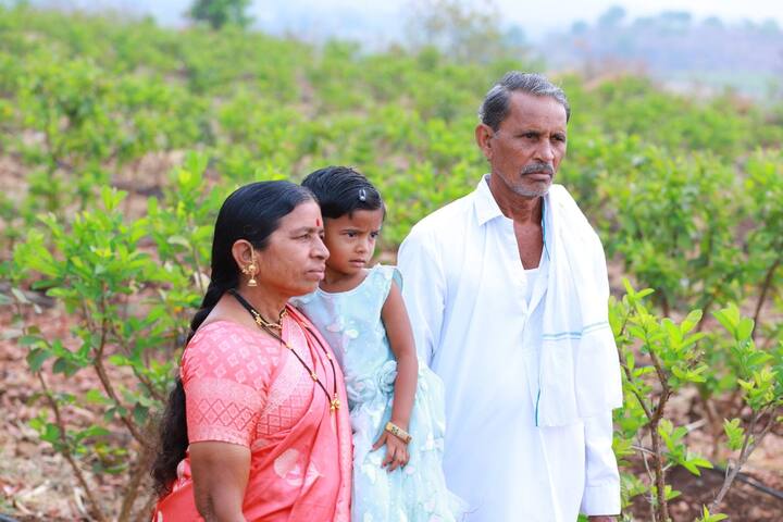 Nanded Agriculture News  : नांदेडच्या सिमा ओलांडून भोकर तालुका लागला की लहान डोंगरांची माळ सुरू होते. भोकरच्या पायथ्याला मुदखेड-अर्धापूर तालुक्यातील जमिनीचा पोत हा केळी, ऊस, हळद व इतर फळबागांसाठी पोषक आहे. त्या तुलनेत भोकरच्या माळरानावर शेतीला फुलवणे हे तसे आव्हानात्मक आहे. भोसी येथील सुमनबाई दिगंबर गायकवाड या महिलेने आपल्या माळरानावर असलेल्या शेतीसाठी स्वप्न पाहिले. ते सुद्धा फळबाग शेतीची. या स्वप्नाला आकार देण्यासाठी तेथील कृषी सहाय्यक, कृषी अधिकारी पुढे सरसावले.