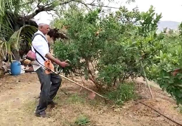 गोपाळ कदम यांनी  डाळींबासह सीताफळ आणि तरकारी शेतीचा यशस्वी प्रयोग केला आहे. या शेतीतून त्यांना चांगला नफा मिळत आहे.