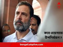 সাংসদ পদ খারিজ রাহুলের, কবে উপনির্বাচন হতে পারে ওয়েনাডে ?