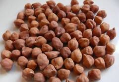 Agriculture News : नंदुरबारमध्ये नाफेडच्या हरभरा खरेदी केंद्राकडं शेतकऱ्यांची पाठ