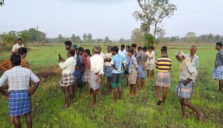 Tiruvarur: Husband and wife commit suicide by hanging themselves in Nannilam TNN திருவாரூர்: நன்னிலத்தில் கணவன், மனைவி அடுத்தடுத்து தூக்கிட்டு தற்கொலை