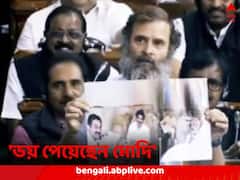 ‘প্রধানমন্ত্রীর চোখে ভয় দেখছি, ফের যদি আদানি প্রশ্ন তুলি সংসদে!’ সুর চড়ালেন রাহুল