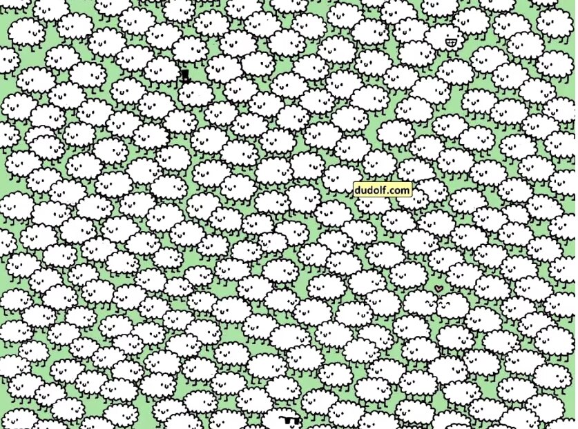 Optical Illusion : मेंढ्यामध्ये लपले आहेत तीन ढग, स्मार्ट असाल तर 10 सेकंदात शोधा; 95 टक्के लोक फेल