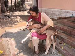 जब विधानसभा में फूट-फूट कर रोये थे CM सुंदरलाल पटवा, जानिए- MP के 'चूड़ी और जूता कांड' की कहानी