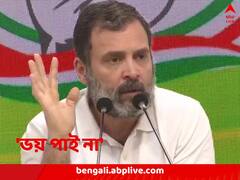 ‘এই দেশই সব দিয়েছে, সাংসদ থাকি, না থাকি, দায়িত্ব পালন করে যাব’, ঘোষণা রাহুলের