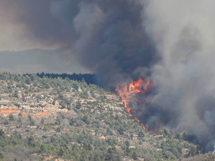 Spain 1st Major Wildfire Of Year Burns 3000 Hectares Of Forest Land Fire 1500 Residents Rescued European Commission