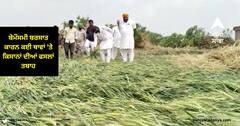 Fazilka News : ਬੇਮੌਸਮੀ ਬਰਸਾਤ ਕਾਰਨ ਕਈ ਥਾਵਾਂ 'ਤੇ ਕਿਸਾਨਾਂ ਦੀਆਂ ਫਸਲਾਂ ਤਬਾਹ ,ਸਰਕਾਰ ਤੋਂ ਕੀਤੀ ਮੁਆਵਜ਼ੇ ਦੀ ਮੰਗ