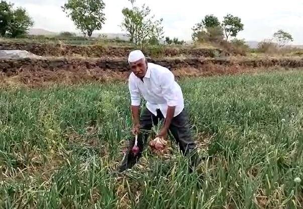 गोपाळ कदम (Gopal Kadam) यांनी डाळींबासह सीताफळ आणि तरकारी शेतीचा यशस्वी प्रयोग केला आहे. या शेतीतून त्यांना चांगला नफा मिळत आहे.
