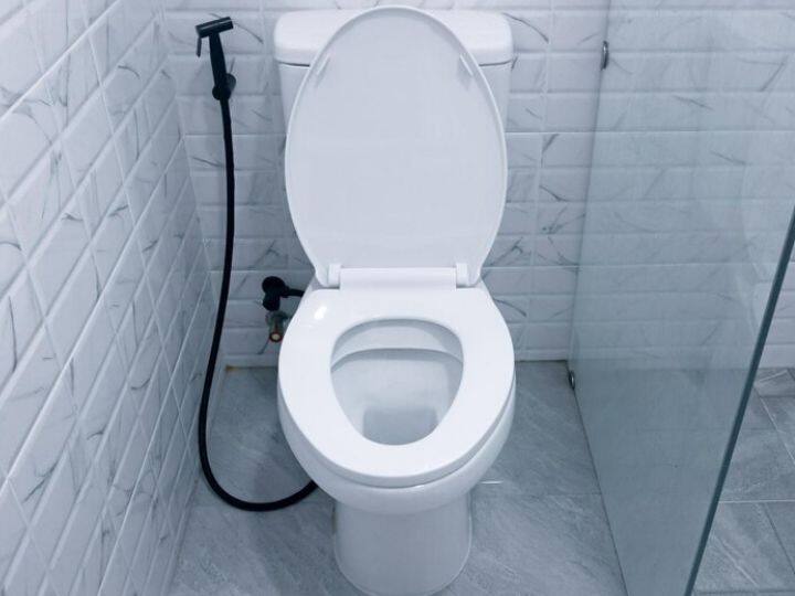 Floating Potty In Toilet Commode Can Be Warning Symptoms Of These 4 Dangerous Disease फ्लश करने के बाद भी कमोड में तैरती रहती है पॉटी? कहीं आपको ये बीमारी तो नहीं!