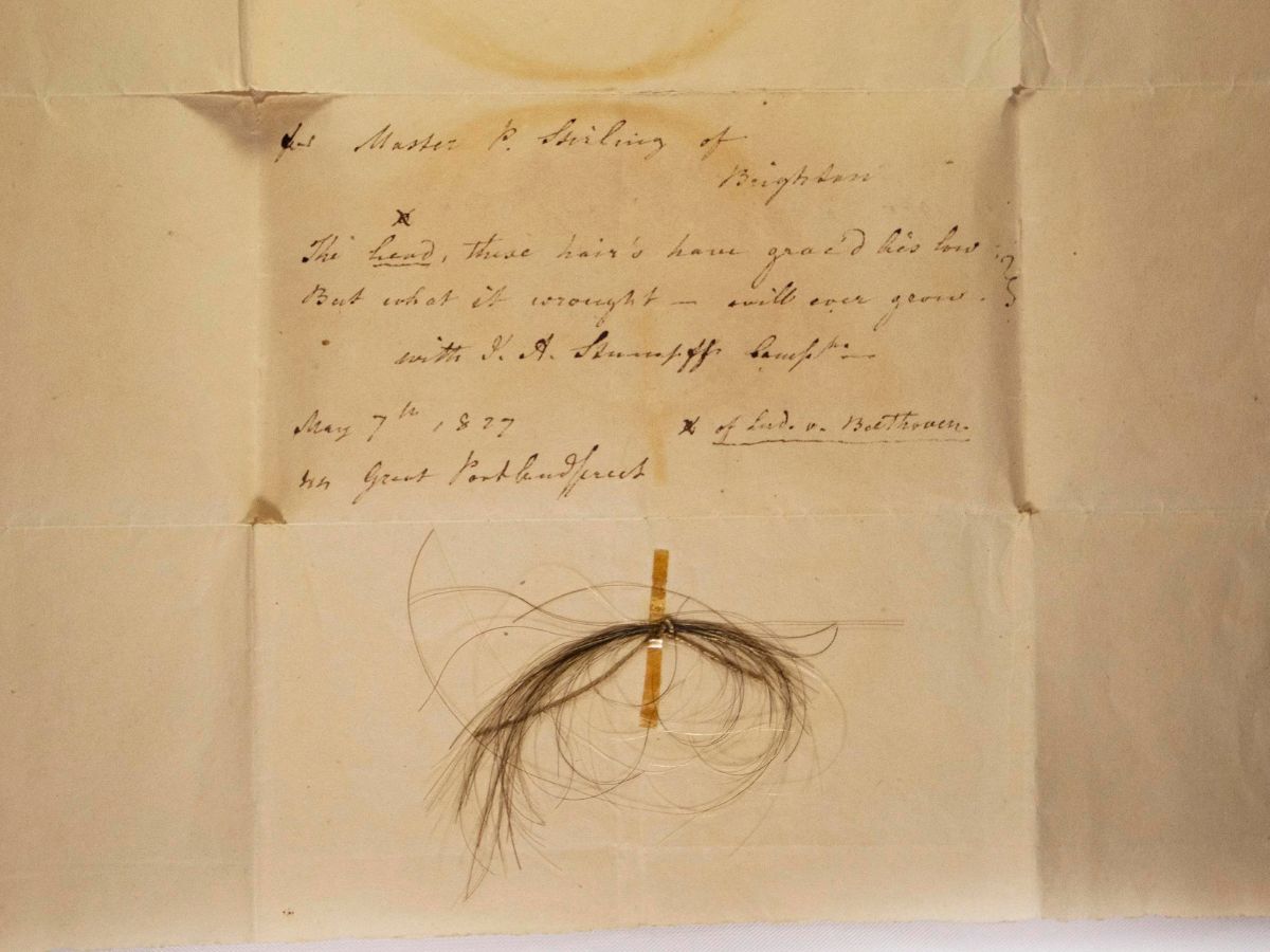Beethoven's Hair Uncovers Clues About The Composer's Health, Ancestry And Cause Of Death: Study