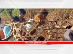 कोल्हापूर जिल्ह्यात वेगवेगळ्या अपघातात चार जणांचा मृत्यू, शाहूवाडीत गव्याच्या हल्ल्यात शेतकरी गंभीर जखमी