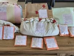 पुणे में यमनी नागरिक करता था कैथा एडुलिस की तस्करी, गिरफ्तार, पहली बार पकड़ा गया ये ड्रग्स