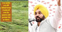 Punjab News: ਸੀਐਮ ਭਗਵੰਤ ਮਾਨ ਵੱਲੋਂ ਬੇਮੌਸਮੀ ਬਾਰਸ਼ ਤੇ ਗੜੇਮਾਰੀ ਨਾਲ ਹੋਣ ਨੁਕਸਾਨ ਲਈ ਮੁਆਵਜ਼ਾ ਦੇਣ ਦਾ ਐਲਾਨ