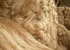 Tag News : कच्च्या तागाच्या किमान हमीभावाला मंजुरी