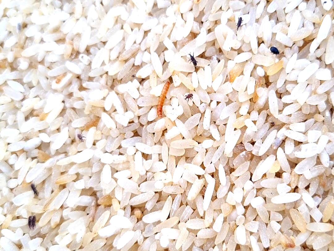 ரேஷன் கடை அரிசி தரம் குறித்து மயிலாடுதுறை மாவட்டத்தில் அதிகரிக்கும் போராட்டங்கள்