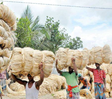 Tag : केंद्रीय मंत्रिमंडळाने 2023-24 च्या हंगामासाठी कच्च्या तागाच्या (Raw jute) किमान हमीभावाला (MSP) मंजुरी दिली आहे.