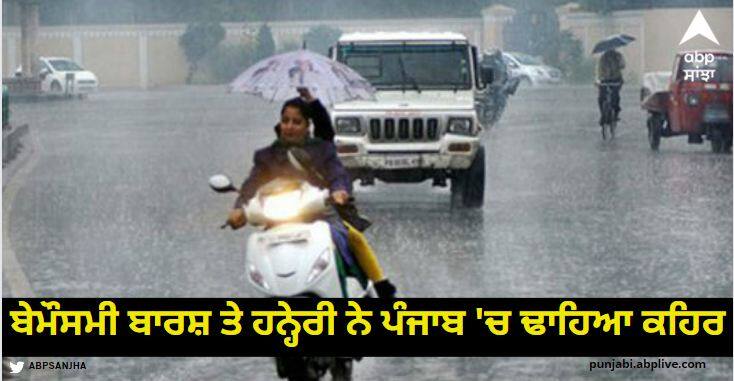 Unseasonal rains and storms wreaked havoc in Punjab 100 percent loss in many areas Punjab News: ਬੇਮੌਸਮੀ ਬਾਰਸ਼ ਤੇ ਹਨ੍ਹੇਰੀ ਨੇ ਪੰਜਾਬ 'ਚ ਢਾਹਿਆ ਕਹਿਰ, ਕਈ ਇਲਾਕਿਆਂ 'ਚ 100 ਫੀਸਦੀ ਨੁਕਸਾਨ