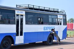 In Pics: नक्सलियों के मंसूबे को नाकाम कर रहे BDS के डॉग्स, कई घटनाओं में CRPF जवानों की बचाई जान